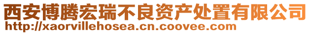 西安博騰宏瑞不良資產處置有限公司