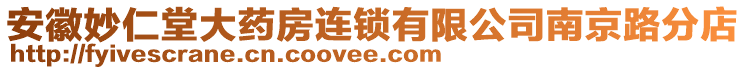 安徽妙仁堂大藥房連鎖有限公司南京路分店