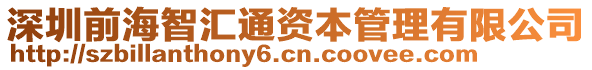 深圳前海智匯通資本管理有限公司