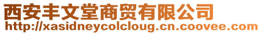 西安豐文堂商貿(mào)有限公司