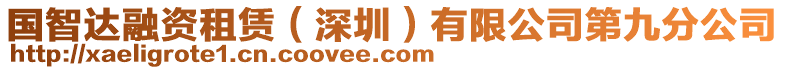 國(guó)智達(dá)融資租賃（深圳）有限公司第九分公司