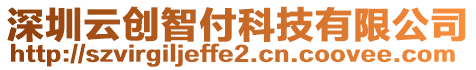 深圳云創(chuàng)智付科技有限公司