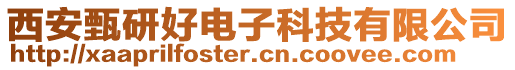 西安甄研好電子科技有限公司