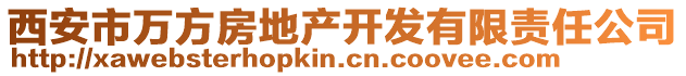西安市萬方房地產(chǎn)開發(fā)有限責(zé)任公司