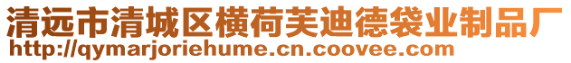 清遠(yuǎn)市清城區(qū)橫荷芙迪德袋業(yè)制品廠