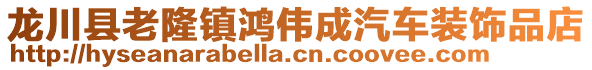 龍川縣老隆鎮(zhèn)鴻偉成汽車裝飾品店