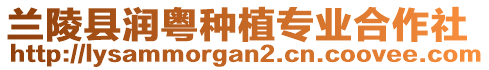 兰陵县润粤种植专业合作社