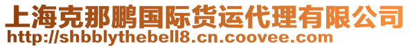 上?？四蛆i國際貨運代理有限公司