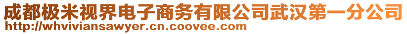 成都極米視界電子商務(wù)有限公司武漢第一分公司