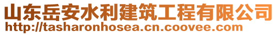 山東岳安水利建筑工程有限公司