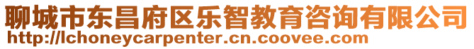 聊城市東昌府區(qū)樂智教育咨詢有限公司