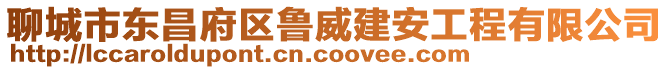 聊城市東昌府區(qū)魯威建安工程有限公司