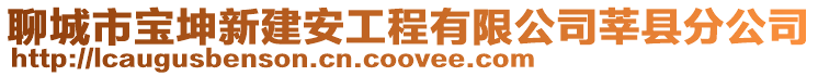 聊城市寶坤新建安工程有限公司莘縣分公司