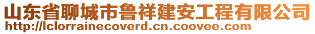 山東省聊城市魯祥建安工程有限公司