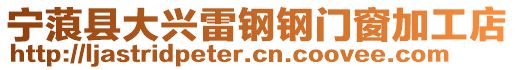 寧蒗縣大興雷鋼鋼門窗加工店