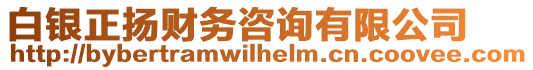 白銀正揚(yáng)財(cái)務(wù)咨詢有限公司