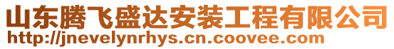 山東騰飛盛達(dá)安裝工程有限公司