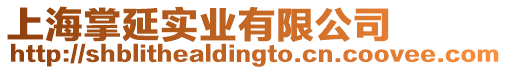 上海掌延實(shí)業(yè)有限公司