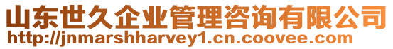 山東世久企業(yè)管理咨詢有限公司