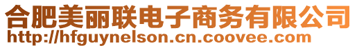 合肥美麗聯(lián)電子商務(wù)有限公司