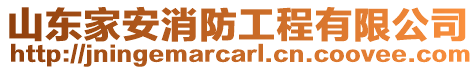 山東家安消防工程有限公司