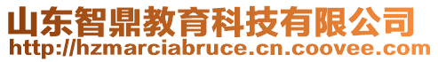 山東智鼎教育科技有限公司