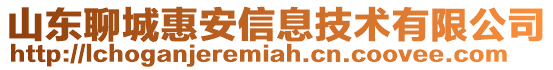 山東聊城惠安信息技術(shù)有限公司