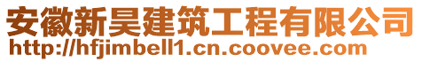 安徽新昊建筑工程有限公司