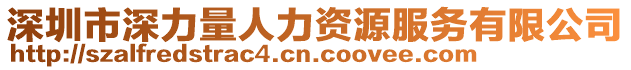 深圳市深力量人力資源服務(wù)有限公司