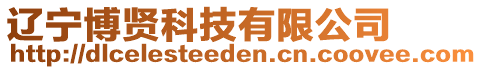 遼寧博賢科技有限公司