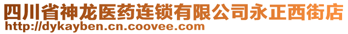 四川省神龍醫(yī)藥連鎖有限公司永正西街店