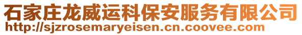 石家莊龍威運科保安服務有限公司