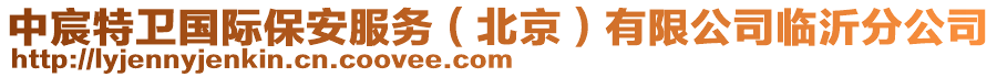 中宸特衛國際保安服務（北京）有限公司臨沂分公司