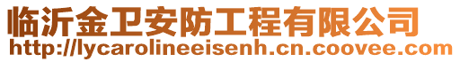 臨沂金衛(wèi)安防工程有限公司