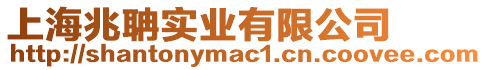 上海兆聃實業有限公司