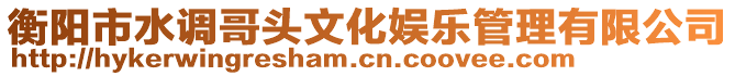 衡陽市水調哥頭文化娛樂管理有限公司