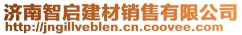 濟南智啟建材銷售有限公司