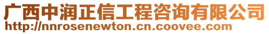 廣西中潤正信工程咨詢有限公司