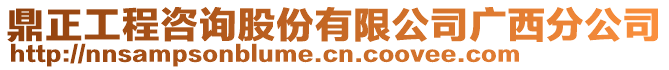 鼎正工程咨詢股份有限公司廣西分公司