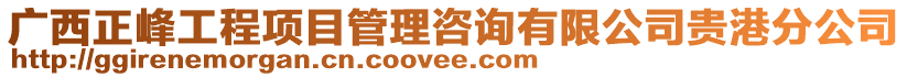 廣西正峰工程項目管理咨詢有限公司貴港分公司