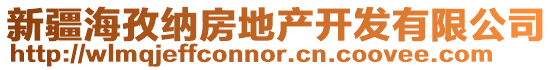 新疆海孜納房地產開發有限公司