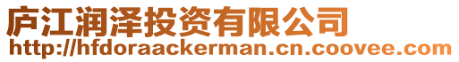 廬江潤澤投資有限公司