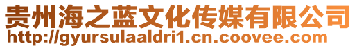 貴州海之藍文化傳媒有限公司