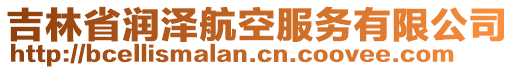 吉林省潤(rùn)澤航空服務(wù)有限公司