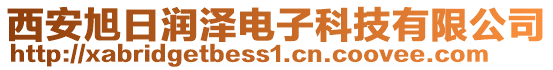 西安旭日潤澤電子科技有限公司