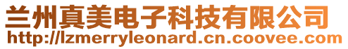 蘭州真美電子科技有限公司