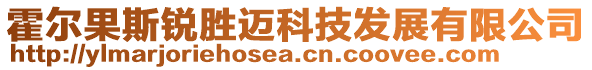 霍爾果斯銳勝邁科技發(fā)展有限公司