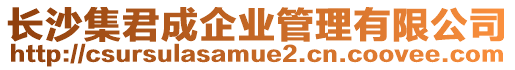 長沙集君成企業(yè)管理有限公司