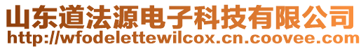 山東道法源電子科技有限公司