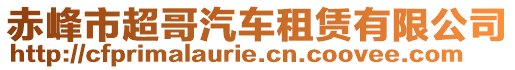 赤峰市超哥汽車租賃有限公司